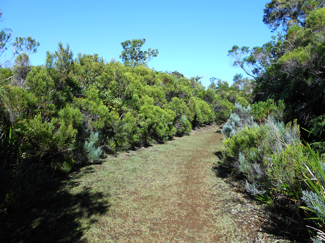 La fin de la piste qui rejoint le GRR2 vers Basse Vallée