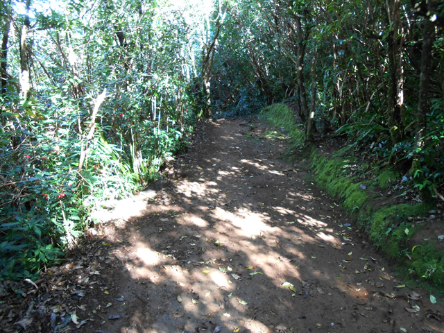 Le très large sentier qui relie Foc Foc à Basse Vallée