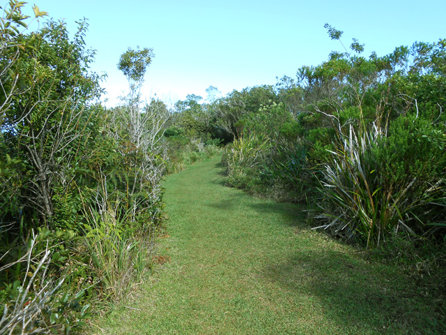 Une autre portion de ce large sentier dans une partie herbeuse