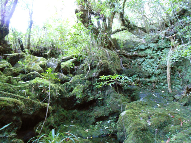 Un passage de ravine assez délicat