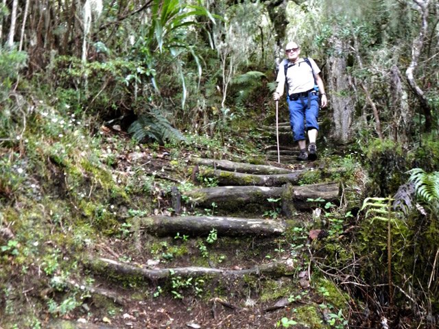 Descente humide liée au brouillard qui mouille les rondins