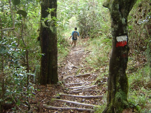 Et toujours des rondins