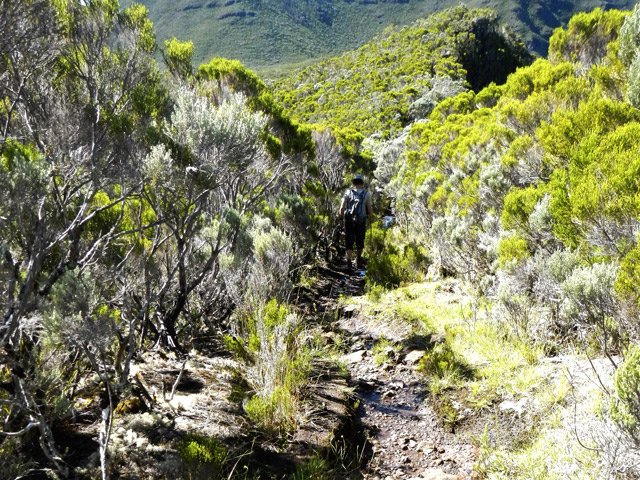 Le cheminement s'effectue sur un sentier caillouteux dans les branles verts