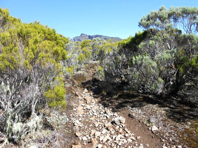 Et toujours des cailloux