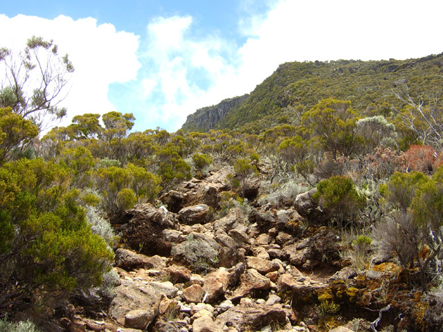 Une très bonne idée du sol sur le sentier du Piton des Neiges vers le Kerveguen