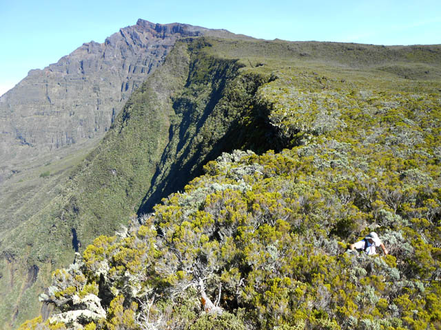 Un petit coup d'oeil dans le dos pour profiter encore du Piton des Neiges