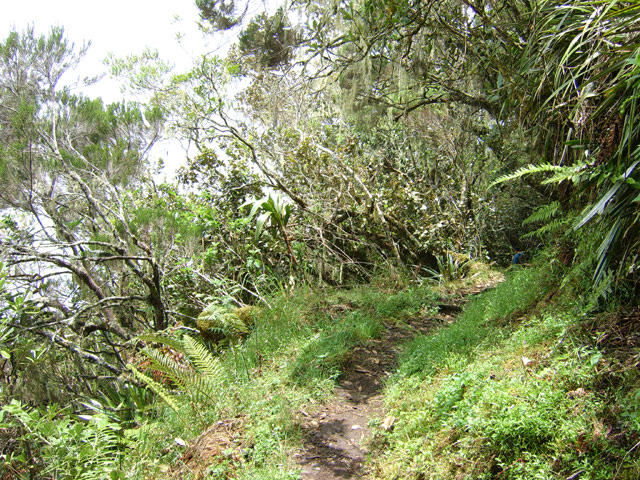 Une des seules parties plates de la descente vers les Sources