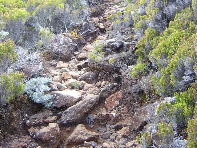Il faut s'habituer très vite aux cailloux qui encombrent le sentier