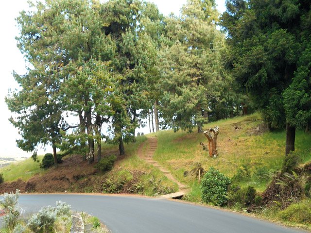 Le départ du sentier vers la table d'orientation et la boucle