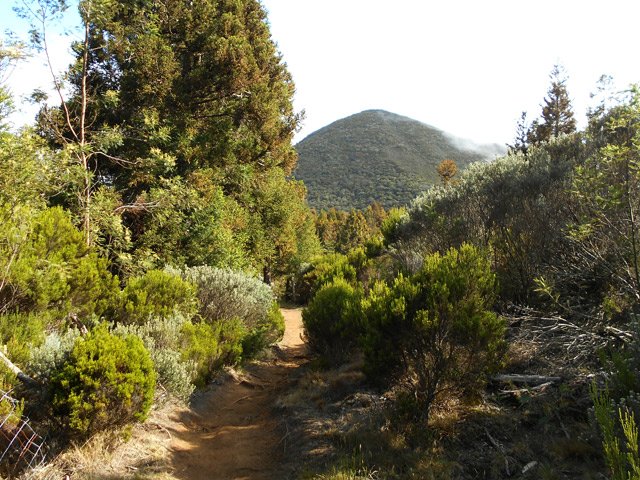 L'agréable sentier qui se rapproche du Bras de Pontho avec le Piton Rouge à l'horizon