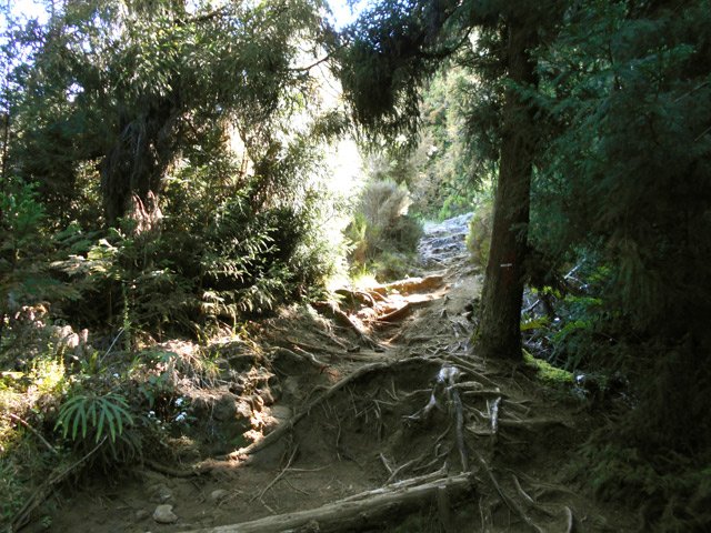 Une pente un peu plus forte que la moyenne