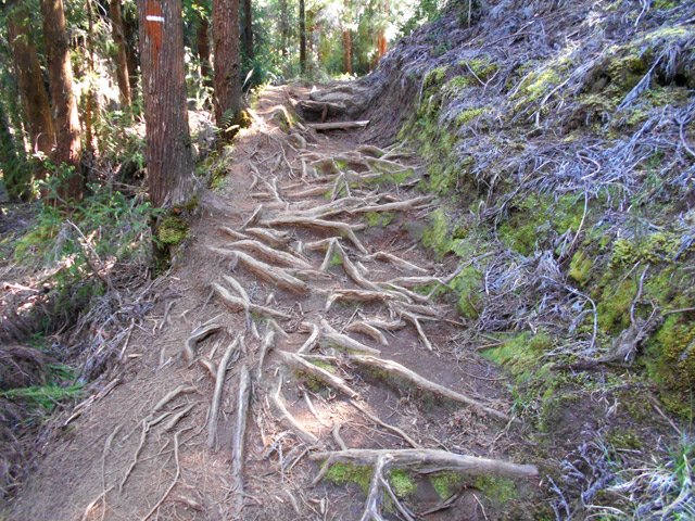 Par temps de pluie, ce passage est une vraie patinoire