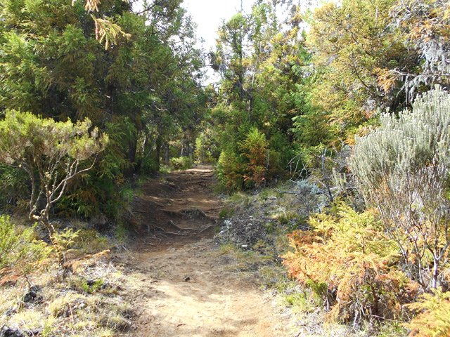 Le large sentier à l'approche de l'aire de pique-nique