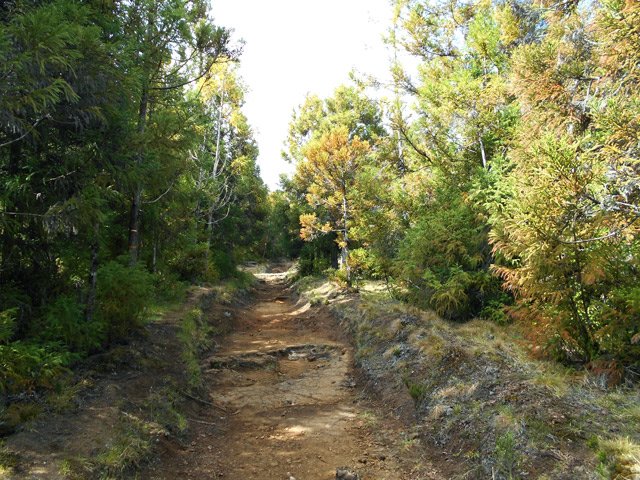Sentier large et profond ; un ruisseau par forte pluie !