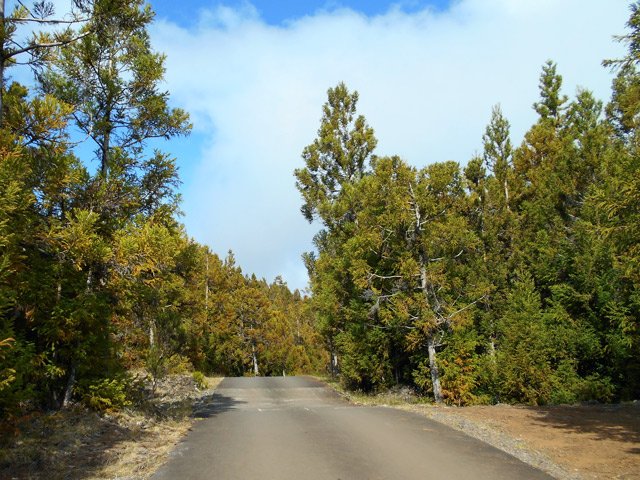 Traversée de la petite route qui serpente sur les flancs du petit piton