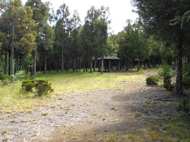 Quelques kiosques et tables attendent les pique-niqueurs