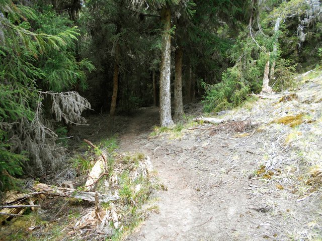 Le sentier de descente vers la route, parfois glissant