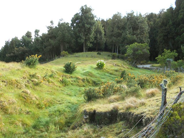 Une petite ravine transformée en prairie, 50 m en aval du point de départ