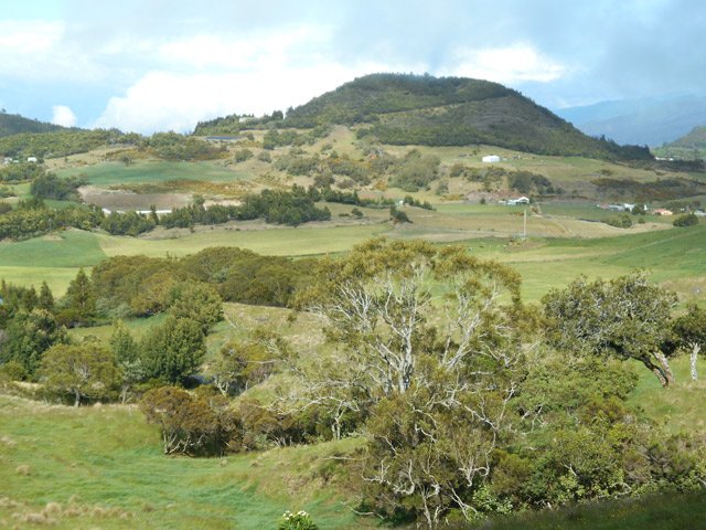Les prairies qui entourent le Piton Dugain