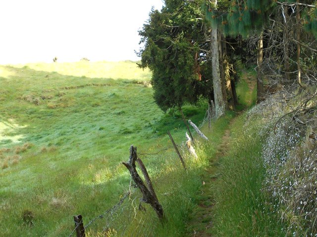 Le sentier longe tout d'abord les prairies