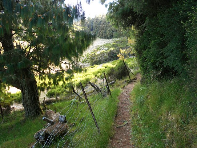 Le sentier partant à gauche relie Bourg Murat en traversant de belles zones d'élevage