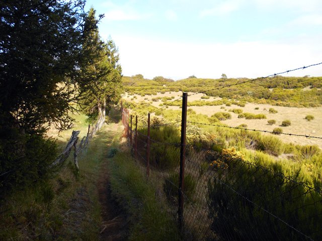 Le sentier entre les clôtures partant en direction de Bourg Murat