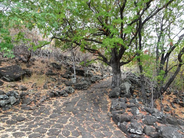 Premières fortes pentes du Chemin Crémont