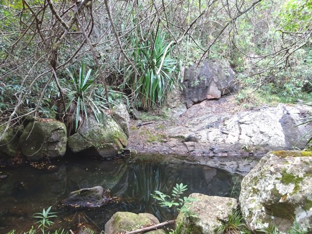 Petit détour par le bassin de la Ravine à Malheur