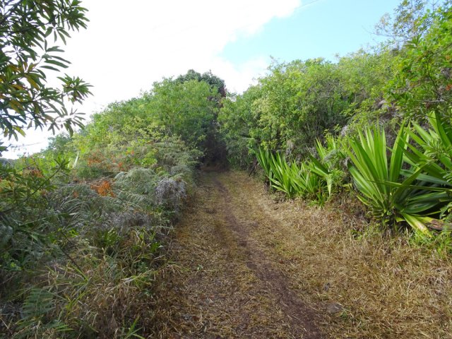 Le dernier hectomètre avant la route