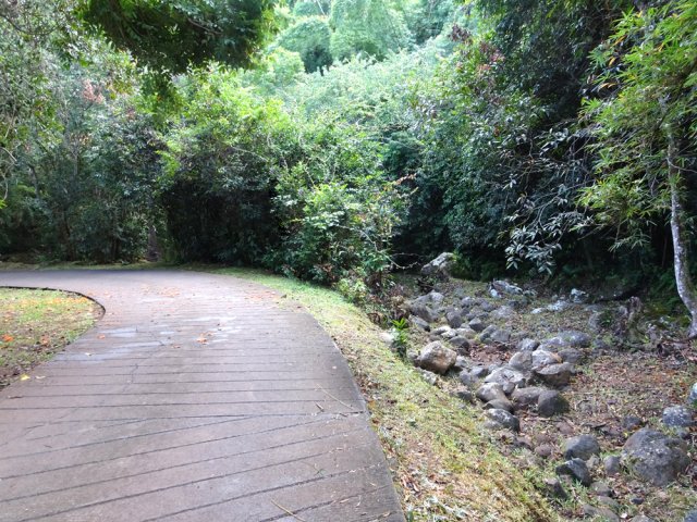 L'agréable transition par le Chemin de la Petite Chaloupe