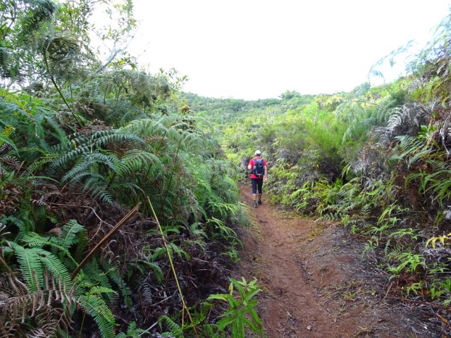 Tous les sentiers sont désormais des boulevards