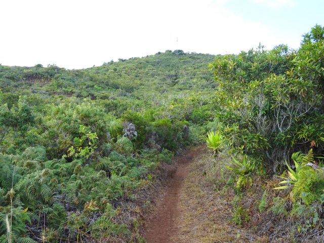 Une idée du relief de la région vers le Piton d'Orange