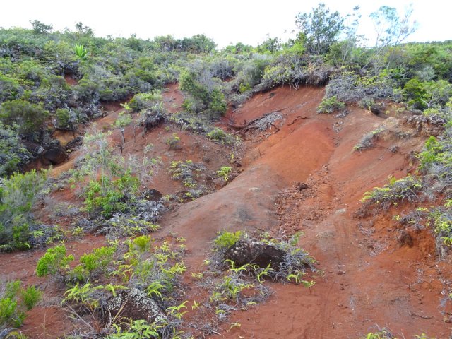 Quelques portions de terres rouges traversées par les pistes pour motos