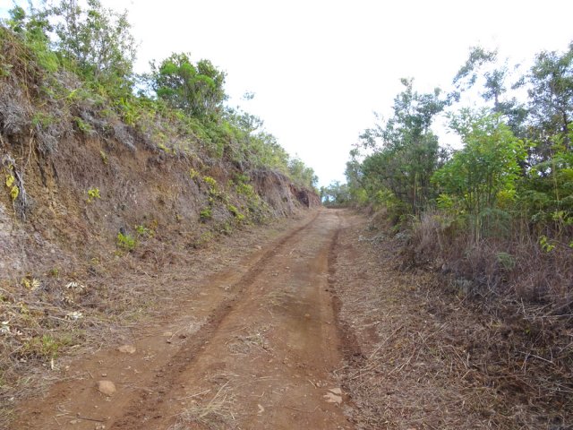 La piste DFCI pour un long repos en descente