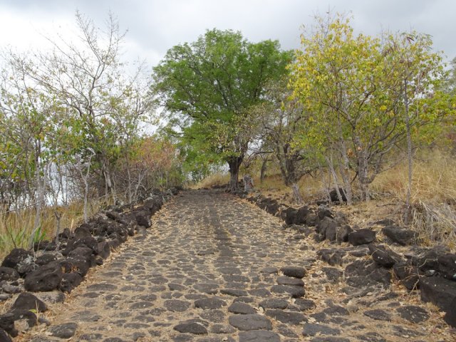 Portions plus agréables sur le plateau