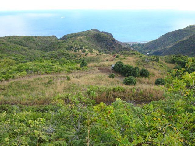 Vaste zone en cours de reboisement