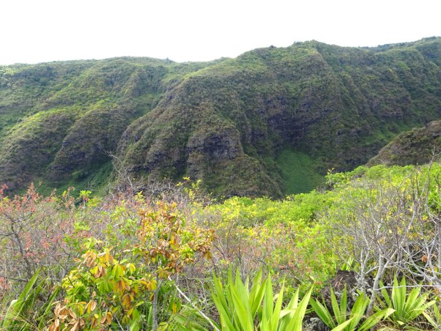 On marche entre la Ravine de la Grande et de la Petite Chaloupe