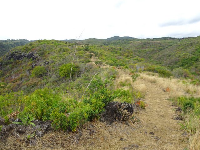Une idée du chemin parcouru depuis la RD41