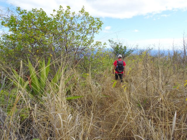 La piste fait place à un agréable sentier herbeux