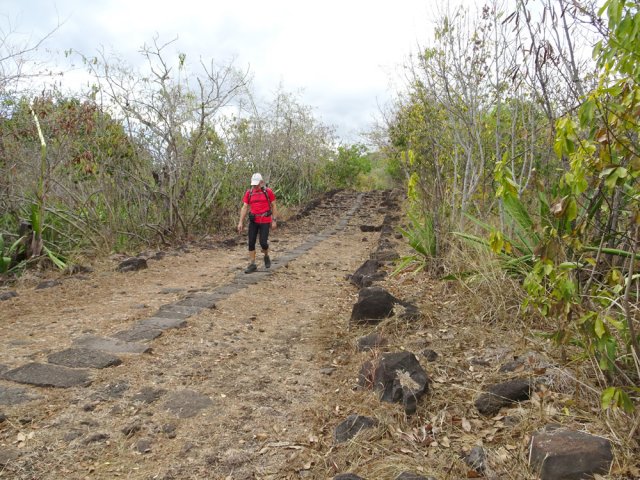 C'est souvent sur la bande centrale que l'on marche le mieux