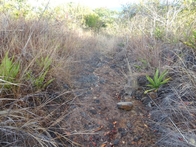 Plus haut, la trace est beaucoup plus visible