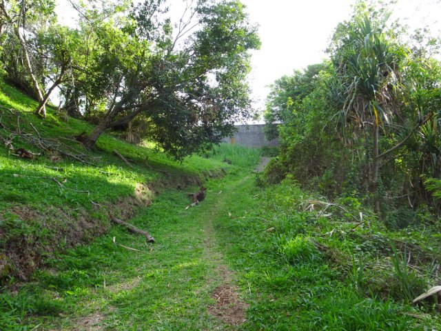 Piste herbeuse pour rejoindre le cimetière