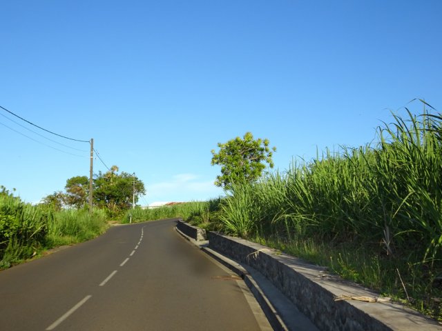 Longue montée sur route goudronnée jusqu'à Manapany les Hauts