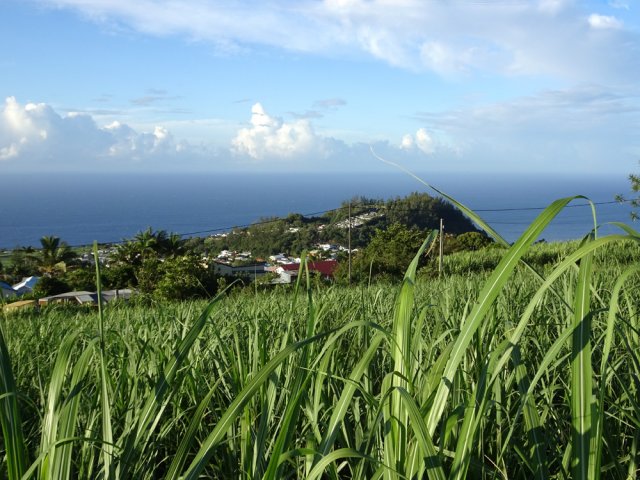 On distingue le cimetière au centre du cratère