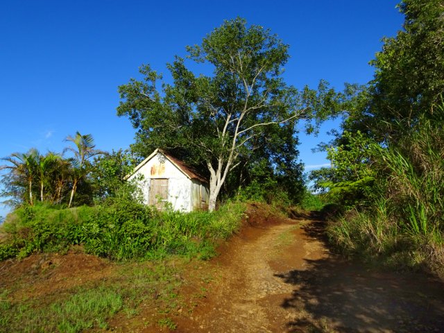 On frôle cette ancienne petite chapelle isolée en pleine campagne. Refermer après visite.