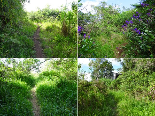 Quelques tronçons du sentier de contournement du Piton du Relais