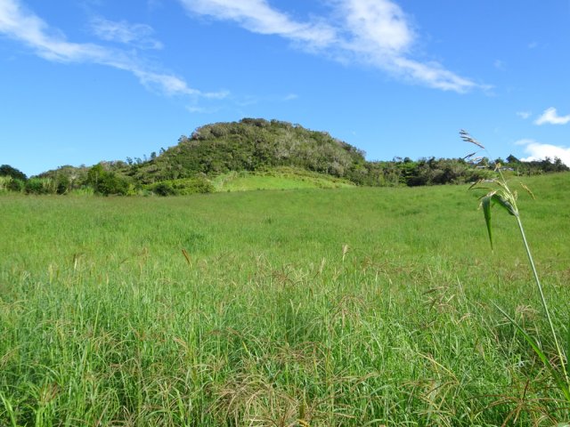 Les prairies entourant le Piton du Relais