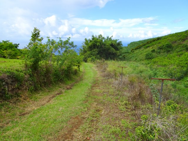 La longue piste entre vergers et la Ravine Lebras