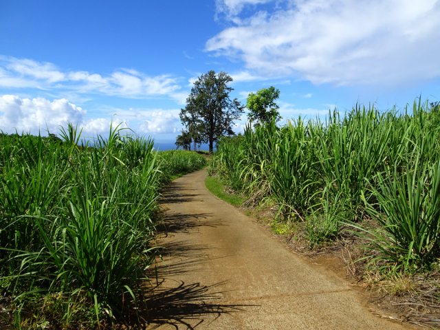 La petite route finissant au Chemin Jessy