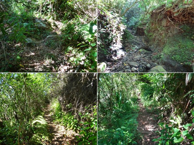 Le sentier coupant le petit canyon de la Ravine Lebras